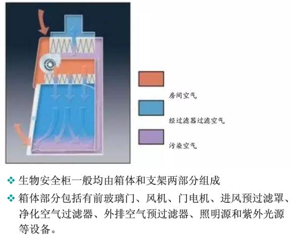 二級(jí)生物安全柜的結(jié)構(gòu)是什么(圖2)