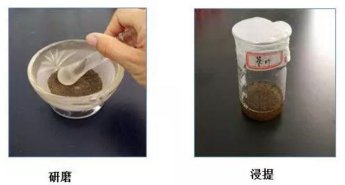 如何檢測(cè)茶葉中的氟離子含量