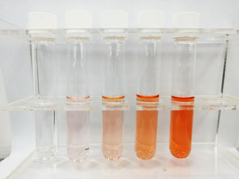 用多參數(shù)水質(zhì)分析儀測量水中鐵的含量詳細(xì)方法如下(圖4)